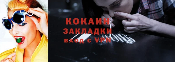 PSILOCYBIN Михайлов