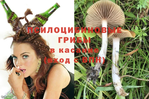 ECSTASY Медвежьегорск