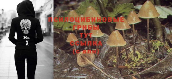 ПСИЛОЦИБИНОВЫЕ ГРИБЫ Михайловск