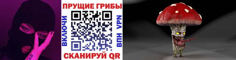 Псилоцибиновые грибы мухоморы  наркотики  mega вход  Новотроицк 